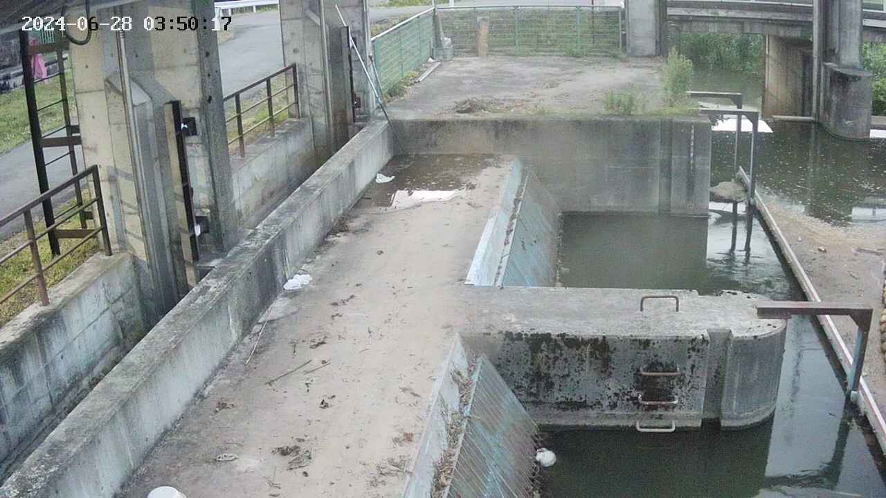 area2-20240628035024.jpg
