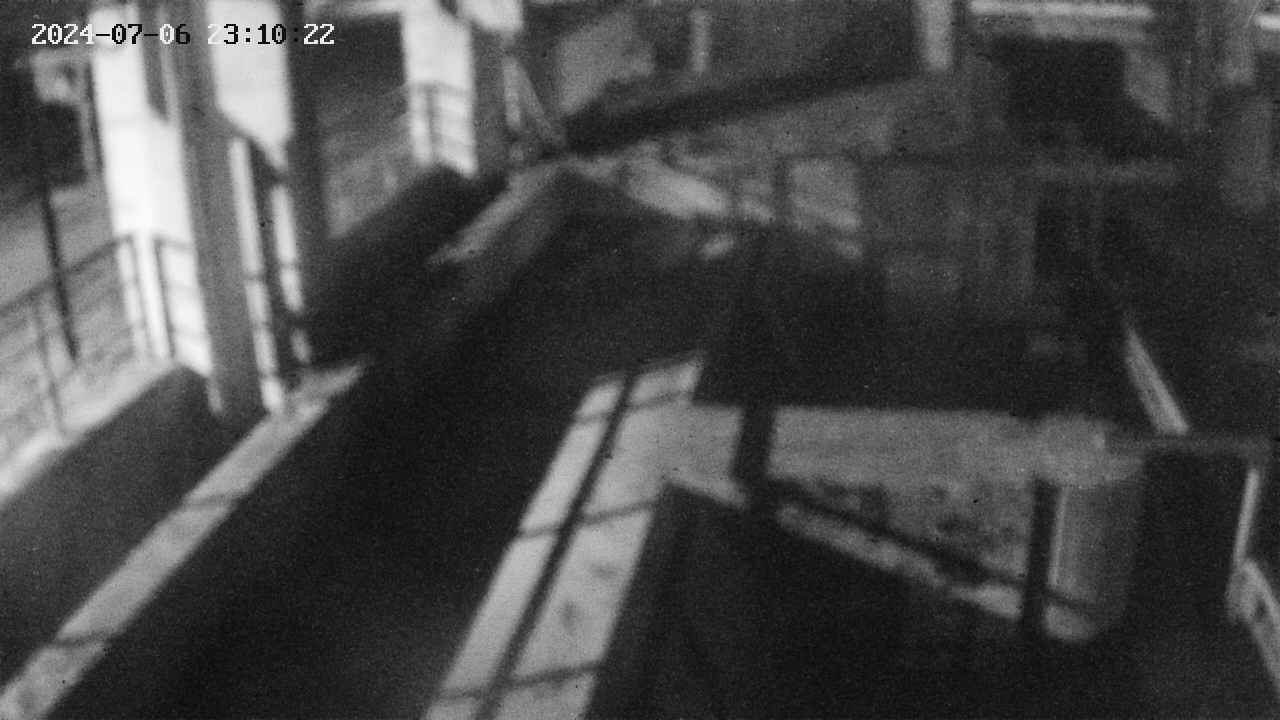area2-20240706231024.jpg