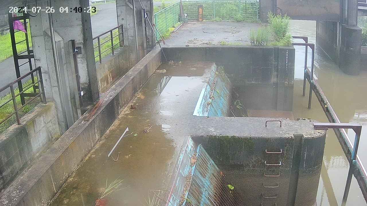 area2-20240726044024.jpg