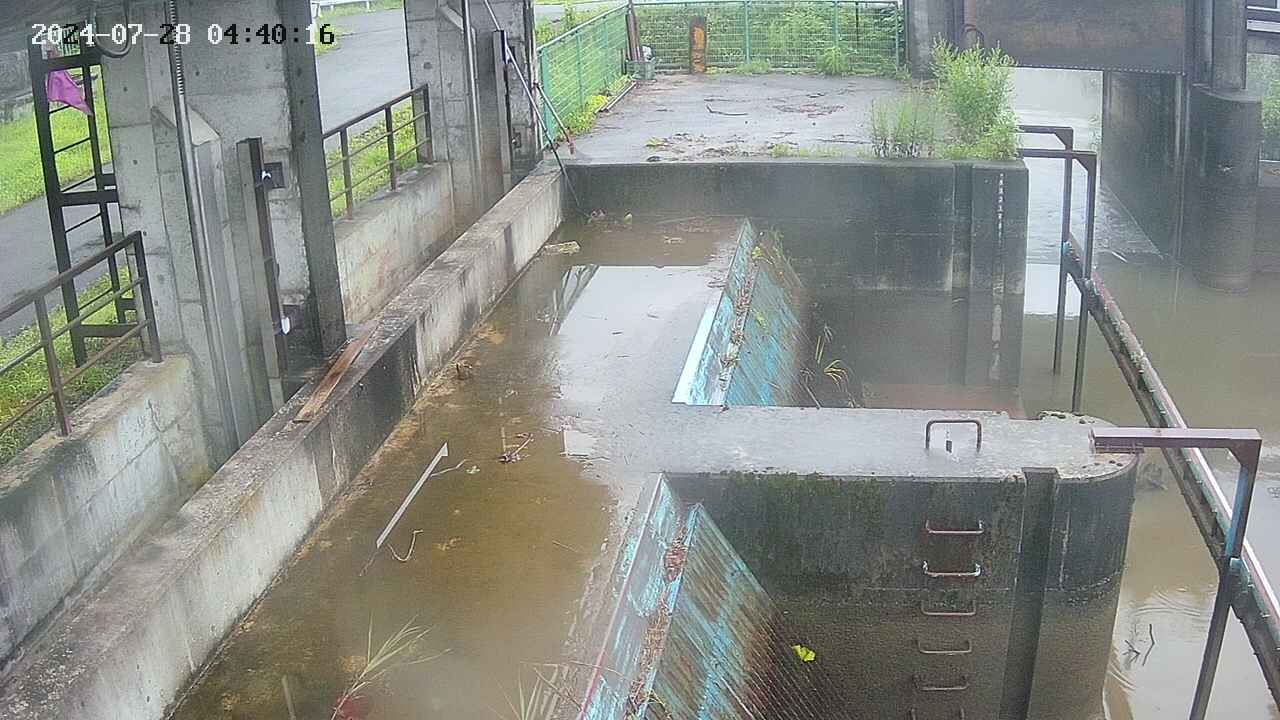 area2-20240728044023.jpg
