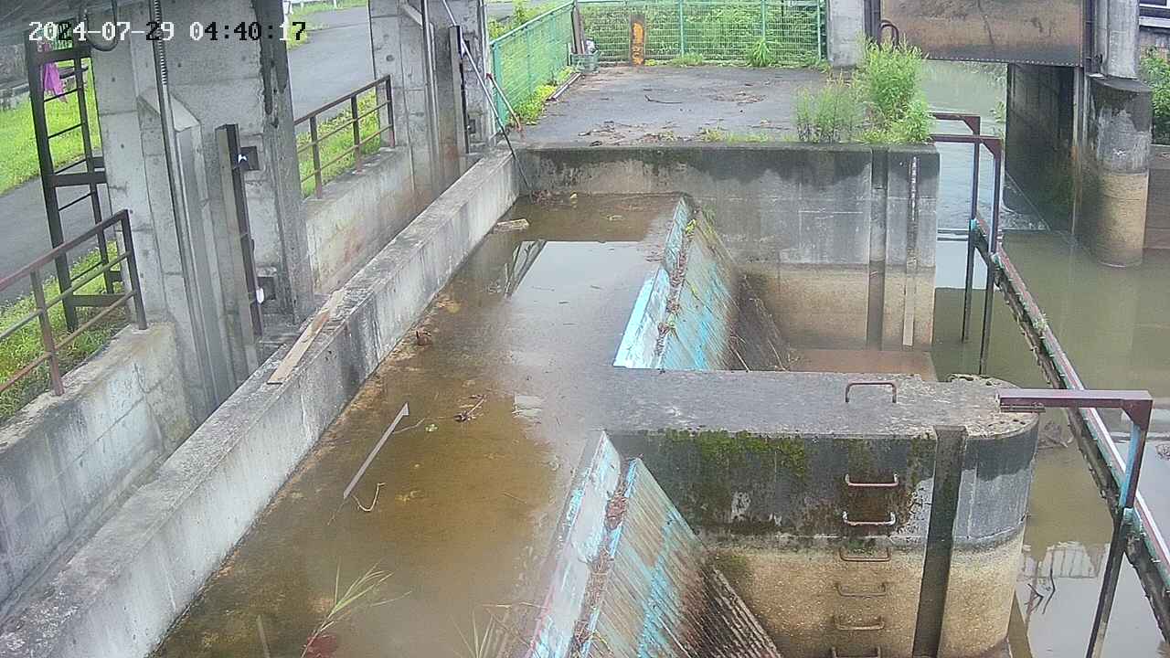 area2-20240729044024.jpg