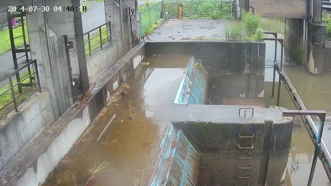 area2-20240730044025.jpg