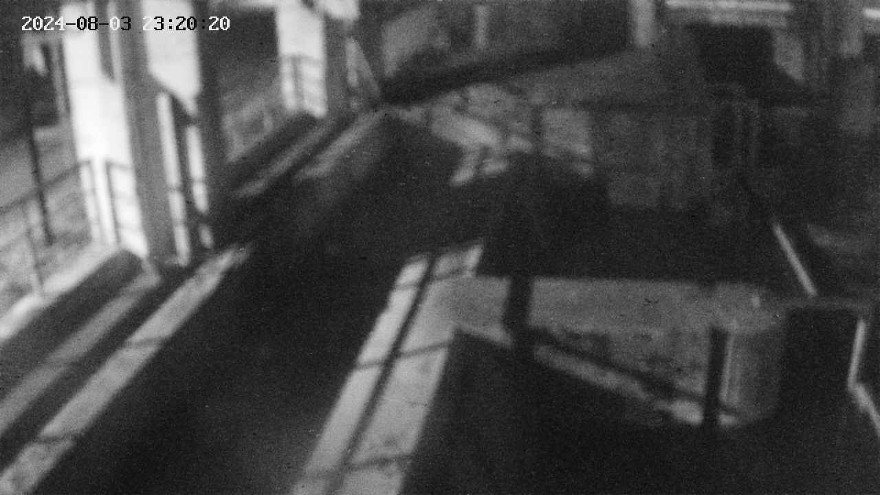 area2-20240803232024.jpg