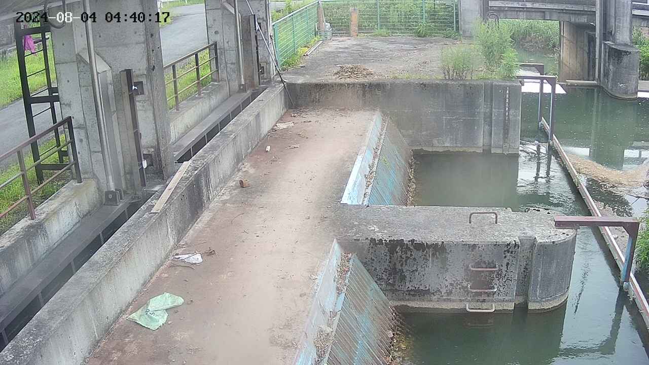 area2-20240804044024.jpg