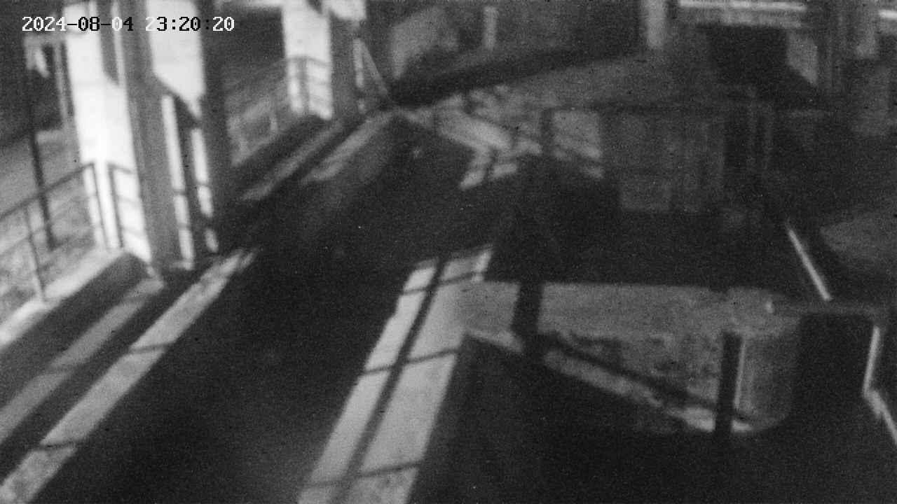 area2-20240804232024.jpg