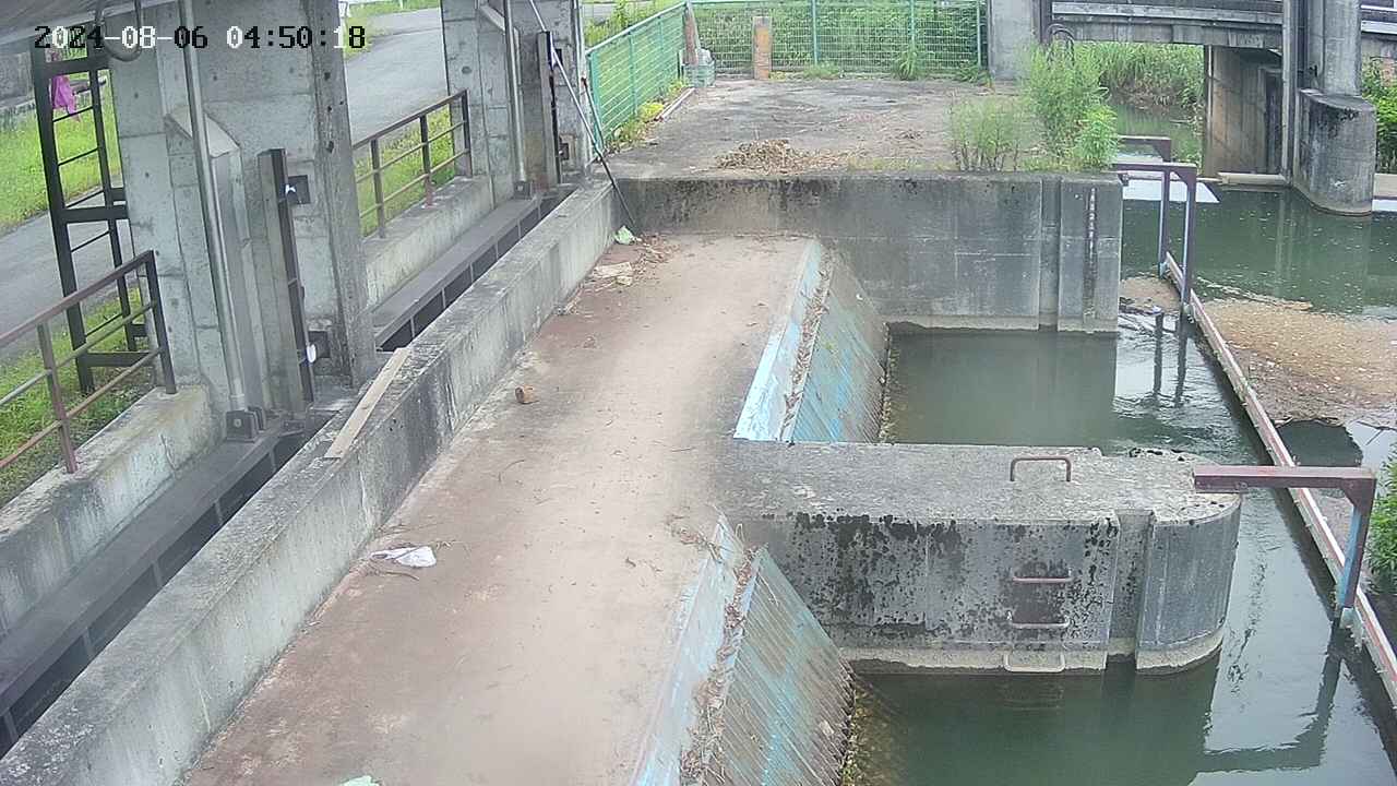 area2-20240806045025.jpg