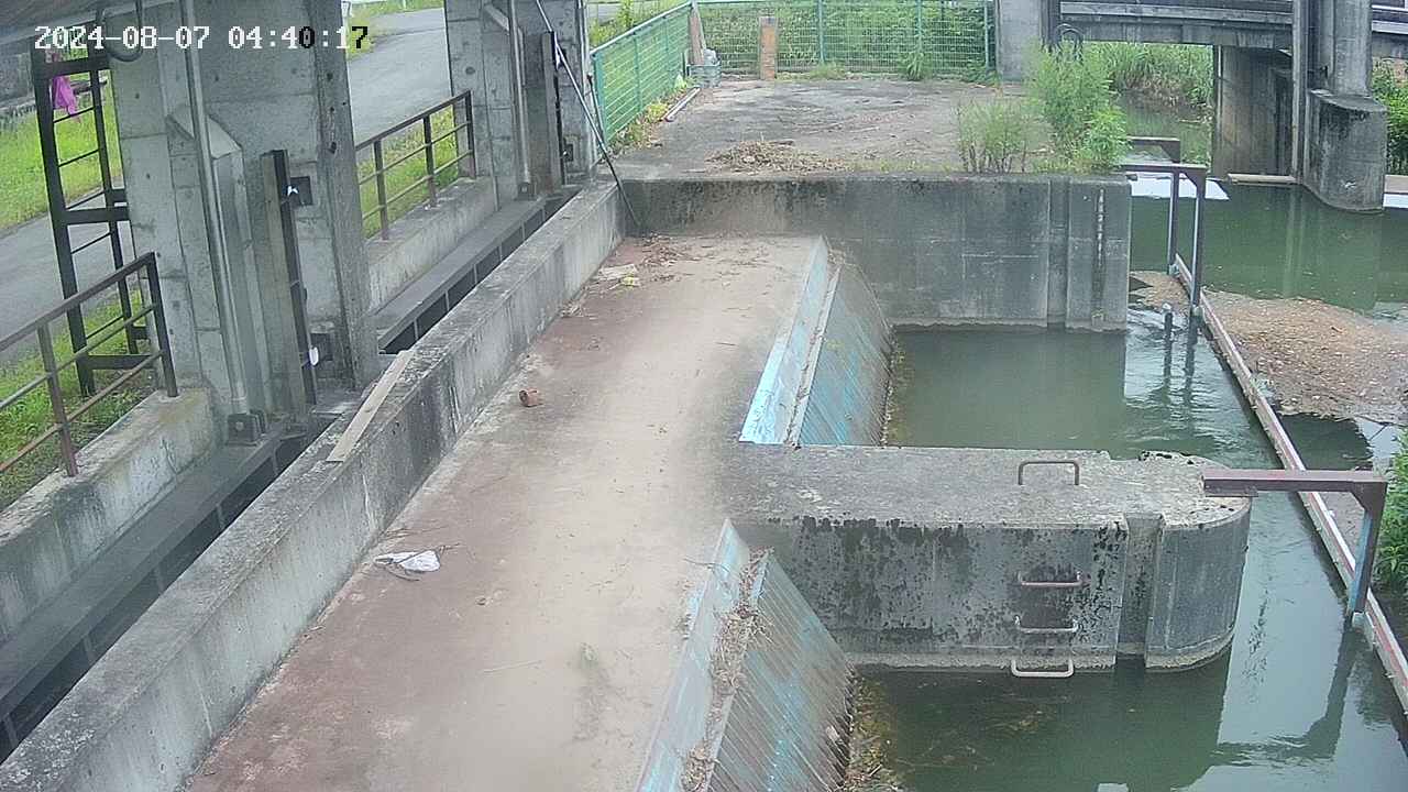 area2-20240807044024.jpg