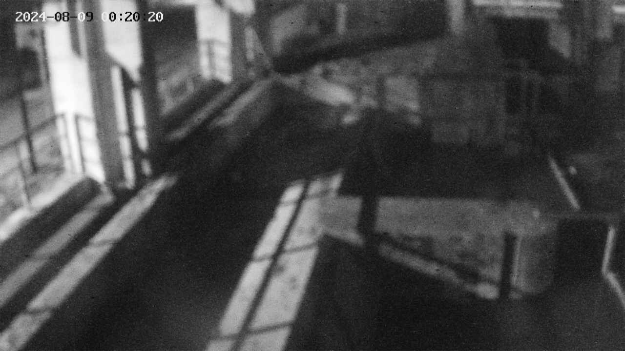 area2-20240809002024.jpg