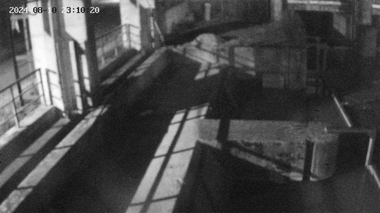 area2-20240810231024.jpg