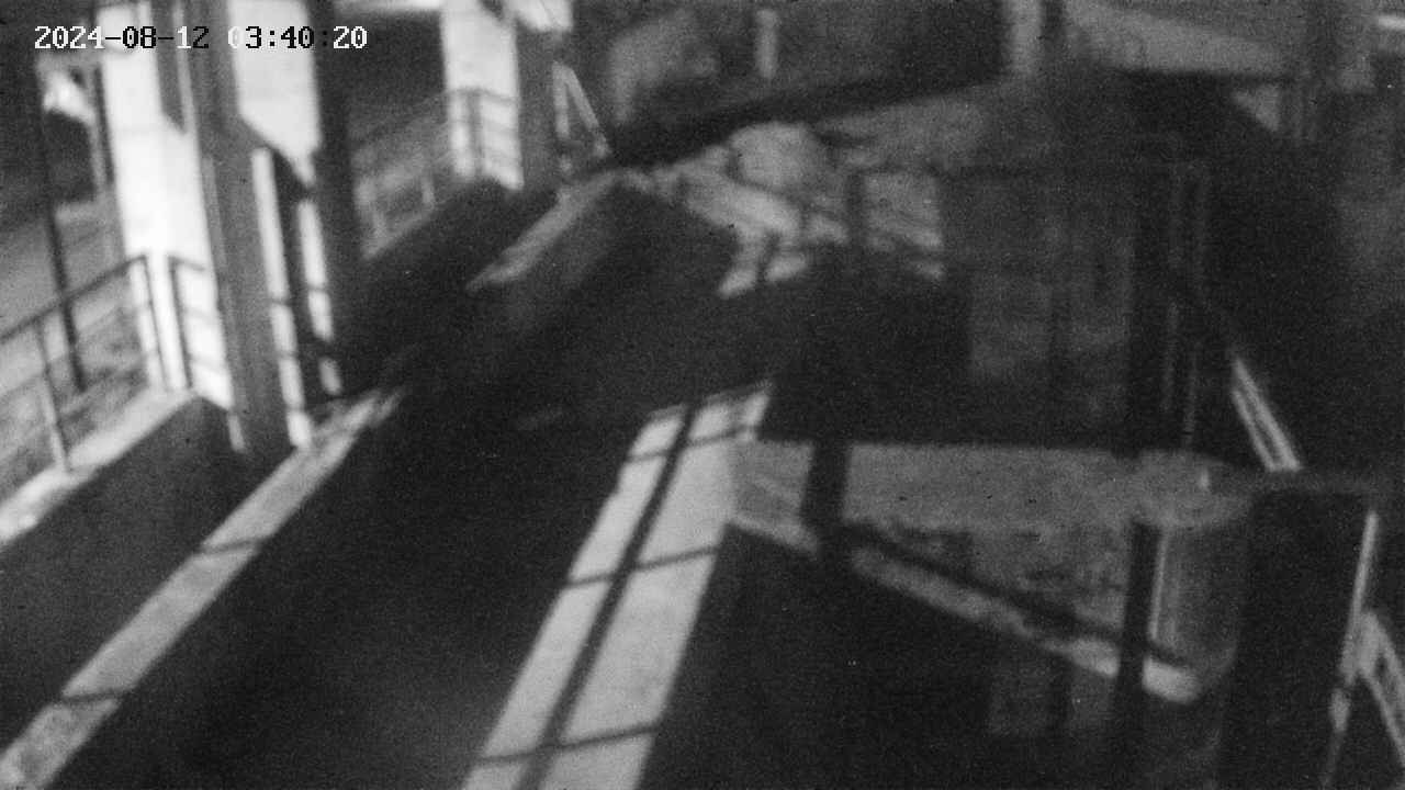 area2-20240812034026.jpg