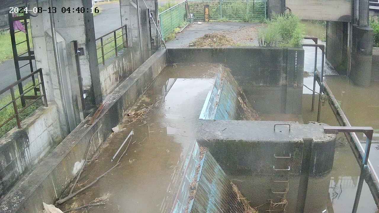 area2-20240813044023.jpg