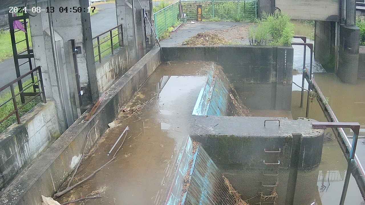 area2-20240813045024.jpg
