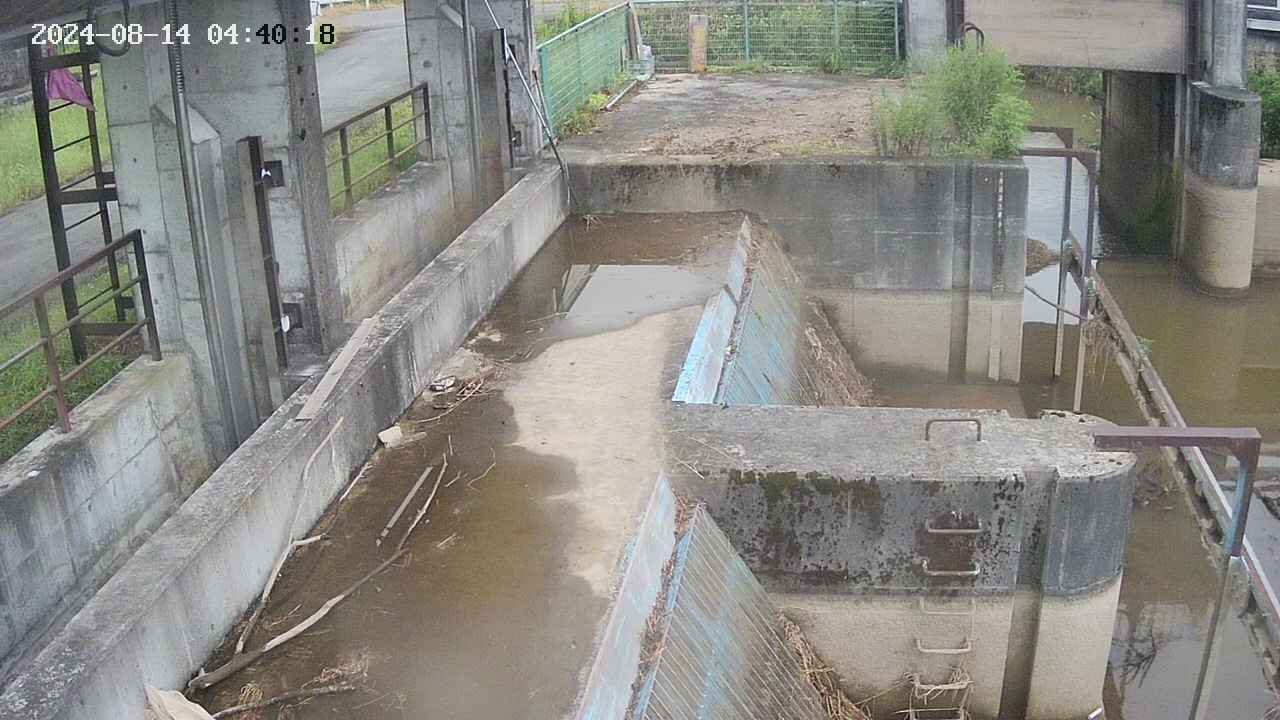 area2-20240814044025.jpg