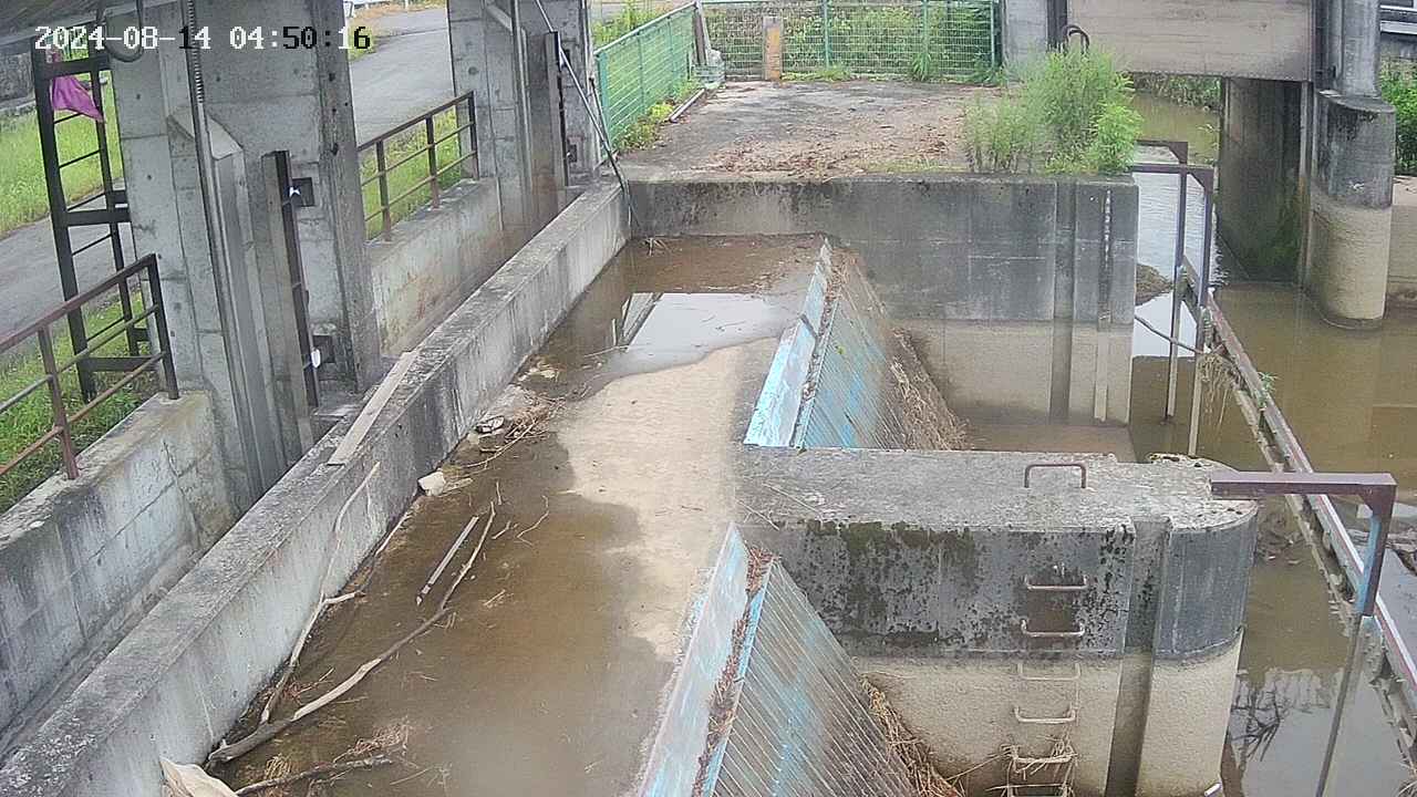 area2-20240814045023.jpg