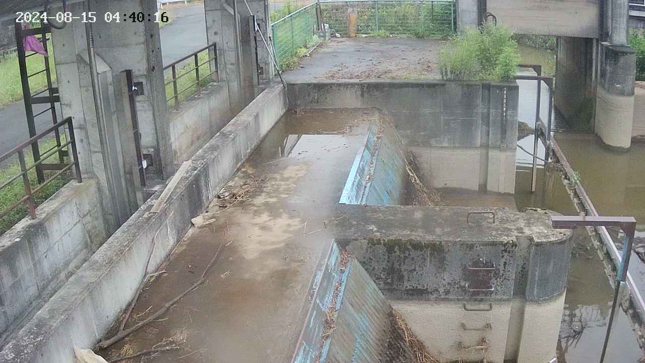 area2-20240815044023.jpg