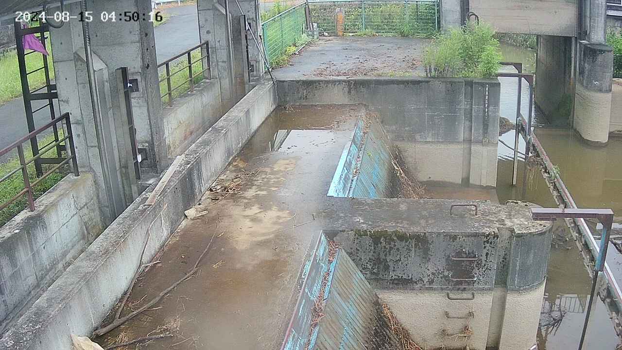 area2-20240815045023.jpg