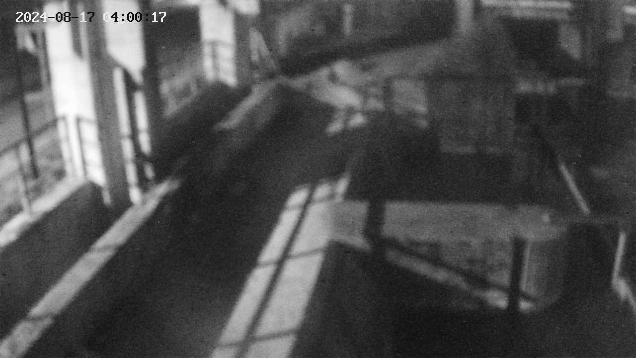 area2-20240817040024.jpg