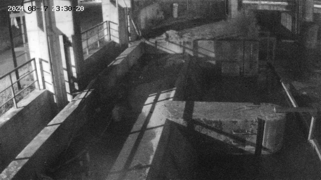 area2-20240817233024.jpg