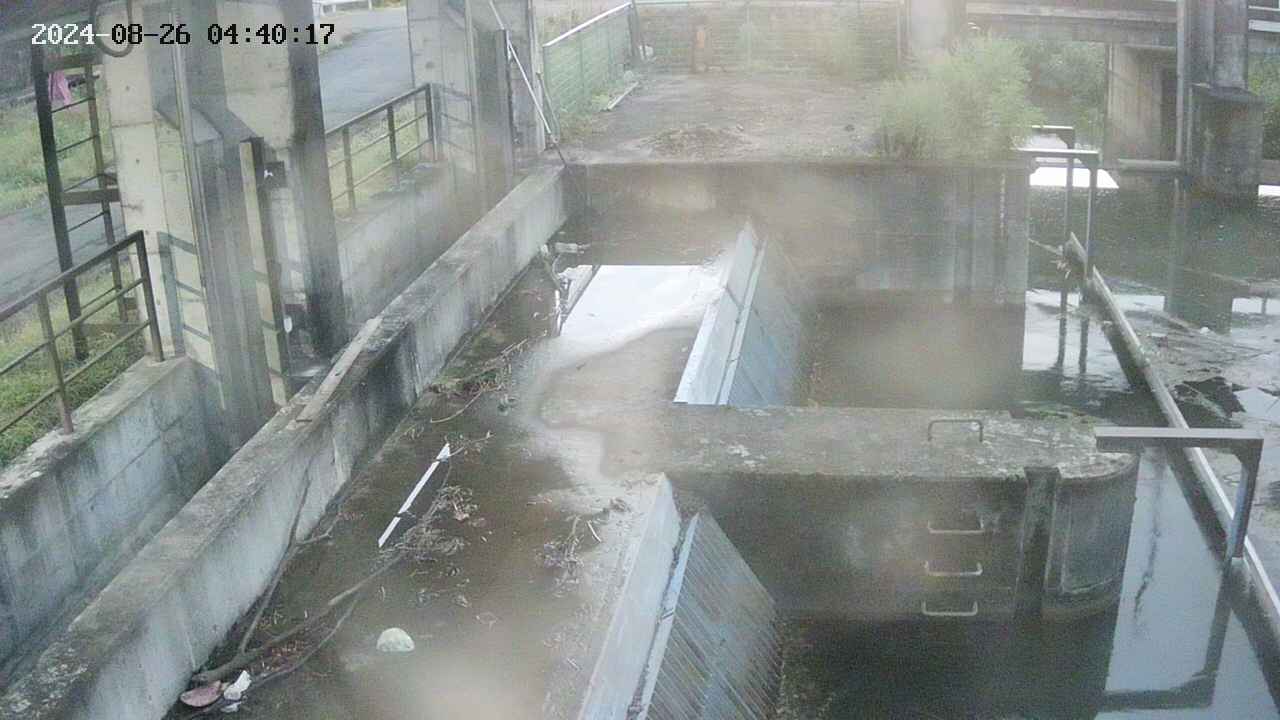 area2-20240826044024.jpg