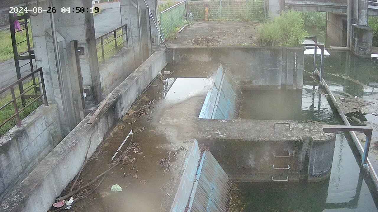area2-20240826045026.jpg