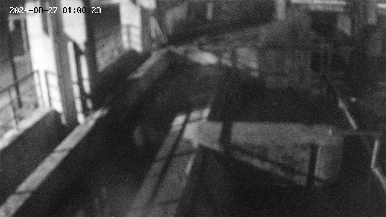 area2-20240827010023.jpg