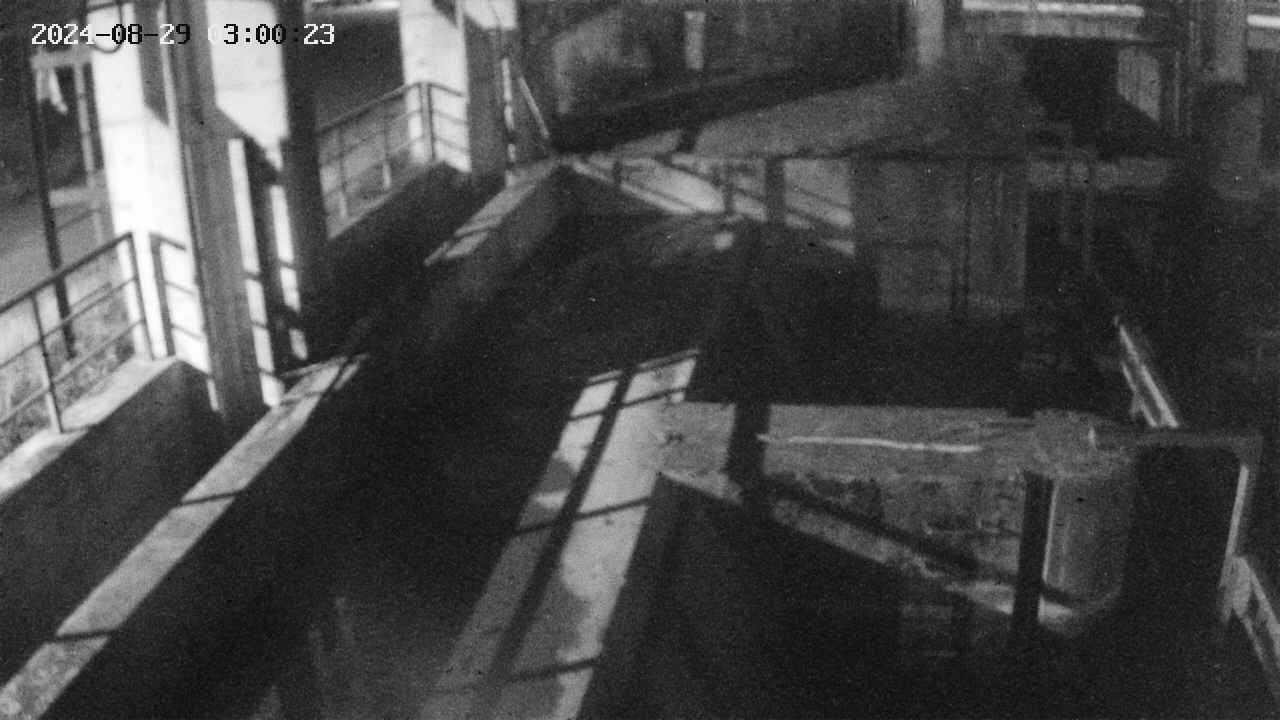 area2-20240829030024.jpg