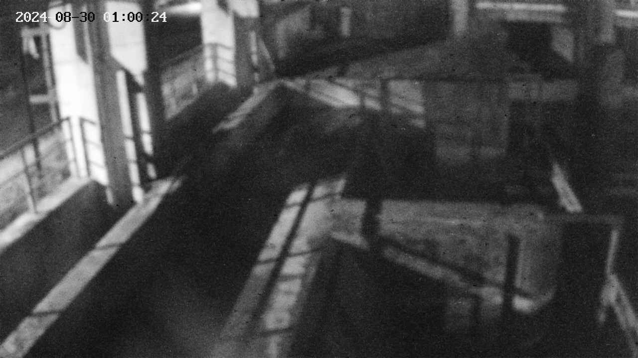 area2-20240830010025.jpg