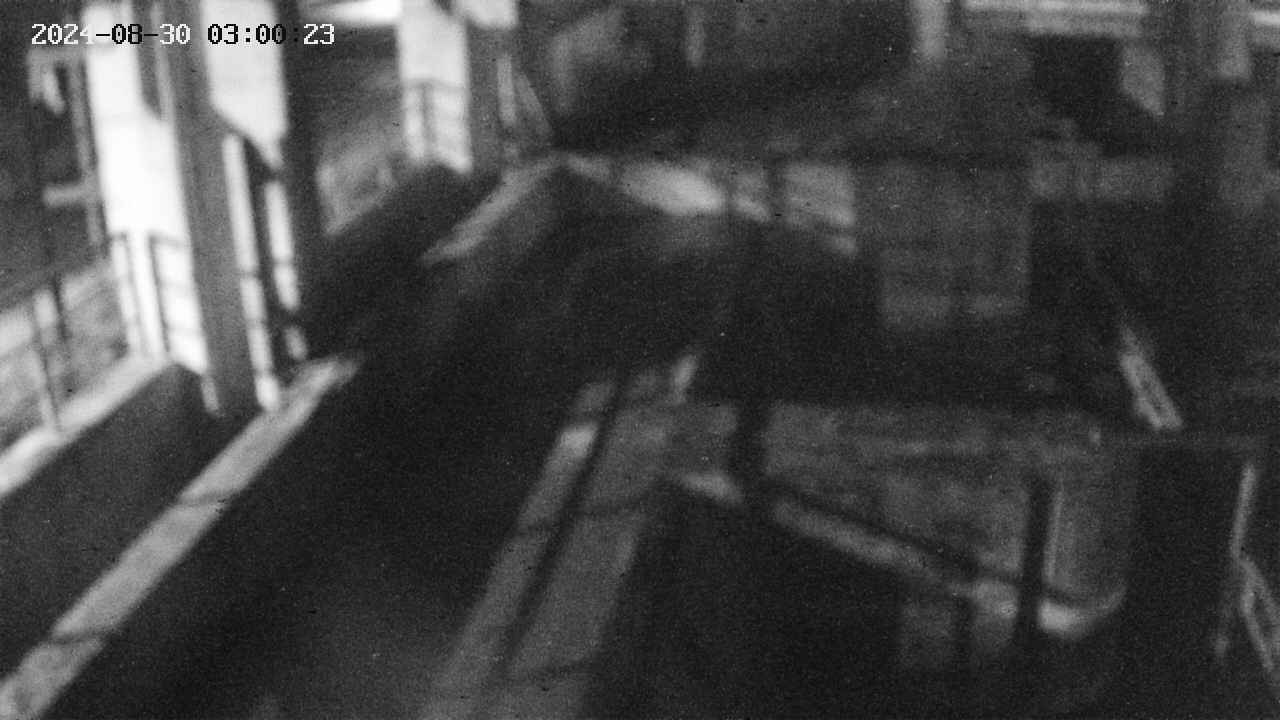 area2-20240830030024.jpg
