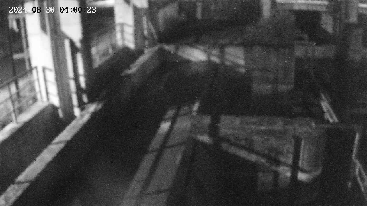 area2-20240830040024.jpg