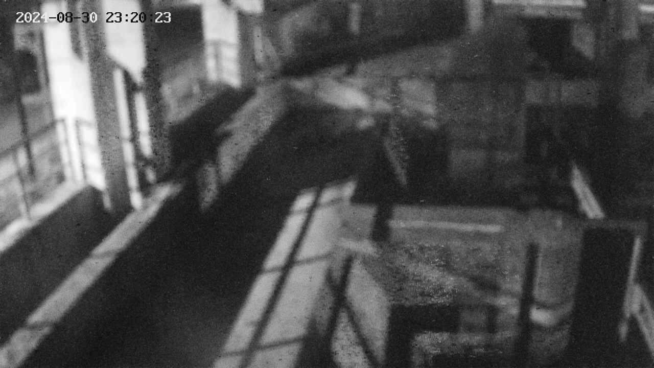area2-20240830232025.jpg