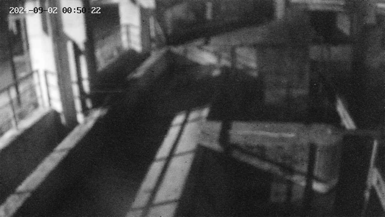 area2-20240902005023.jpg