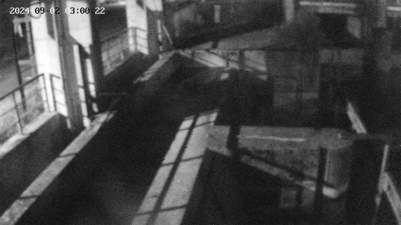 area2-20240902030024.jpg
