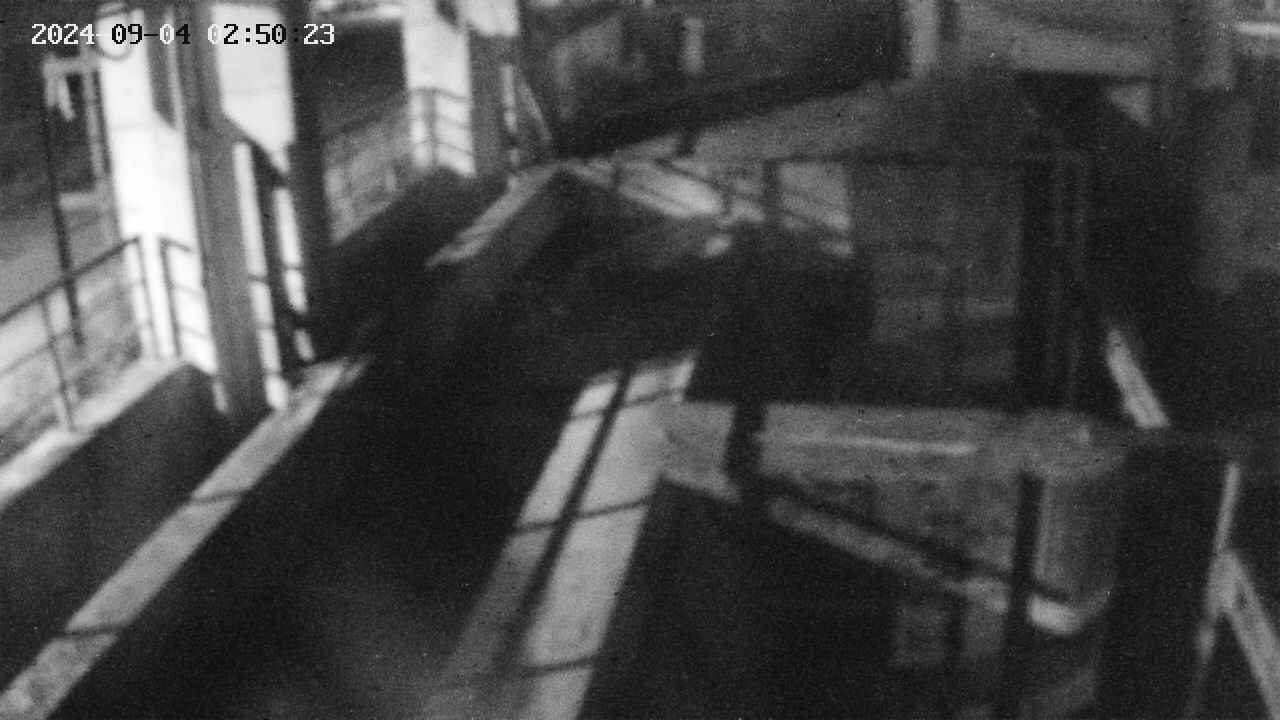 area2-20240904025024.jpg