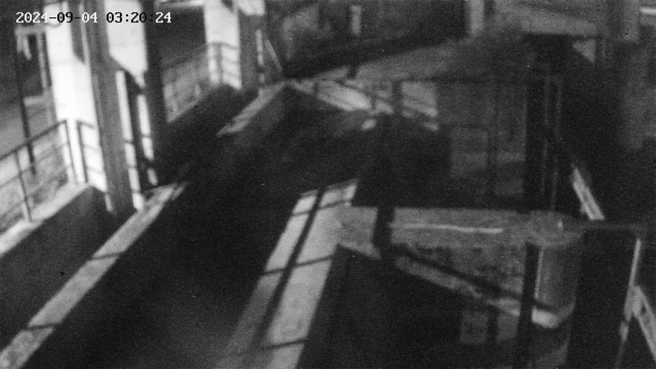 area2-20240904032025.jpg