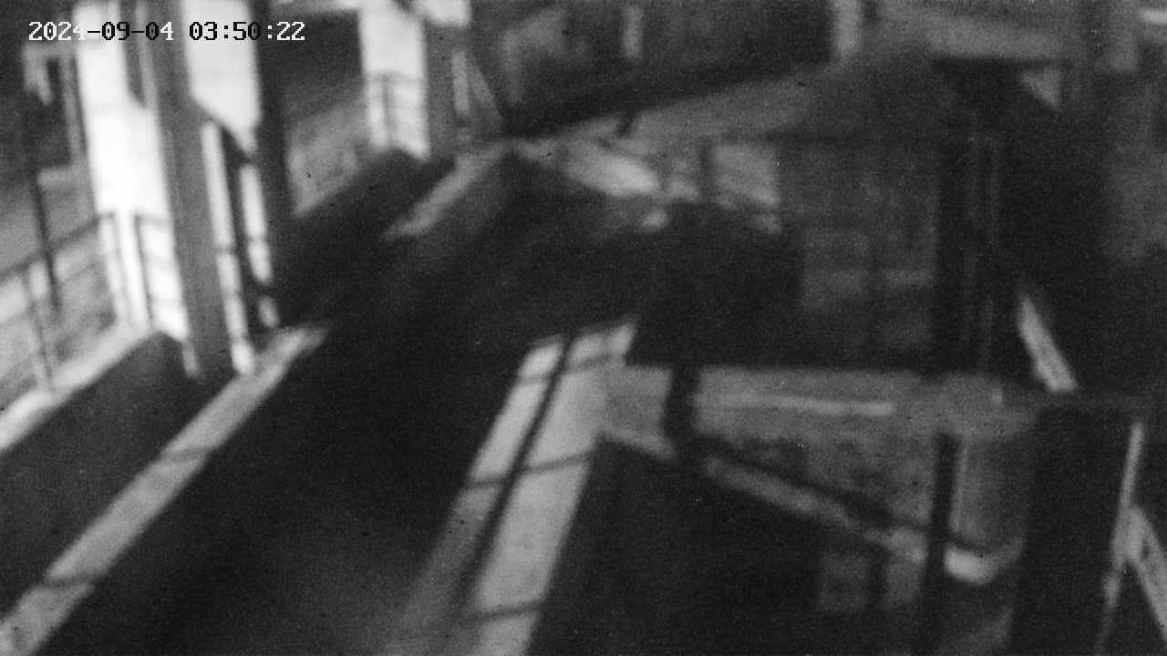 area2-20240904035023.jpg