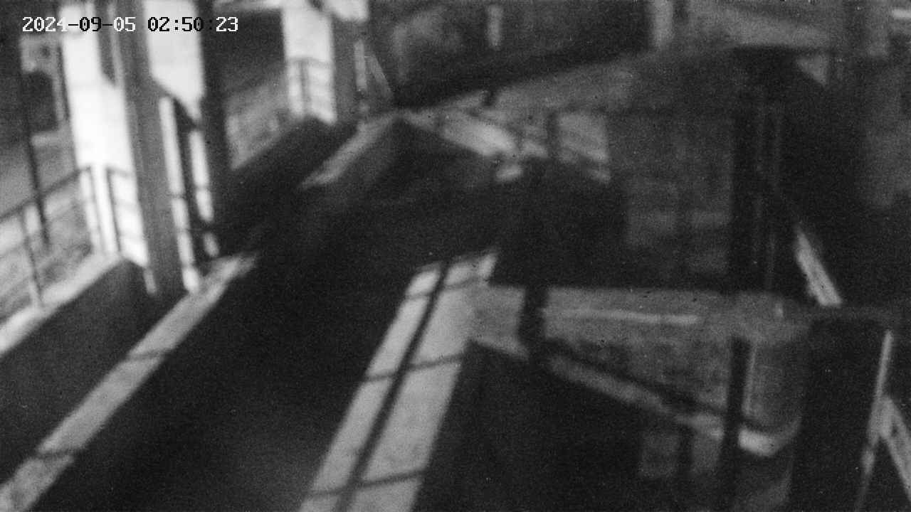 area2-20240905025024.jpg
