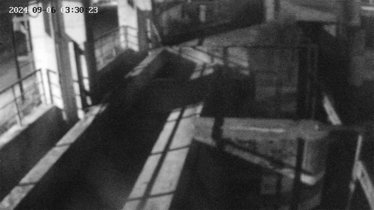 area2-20240906033024.jpg