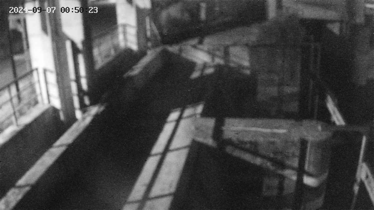 area2-20240907005024.jpg