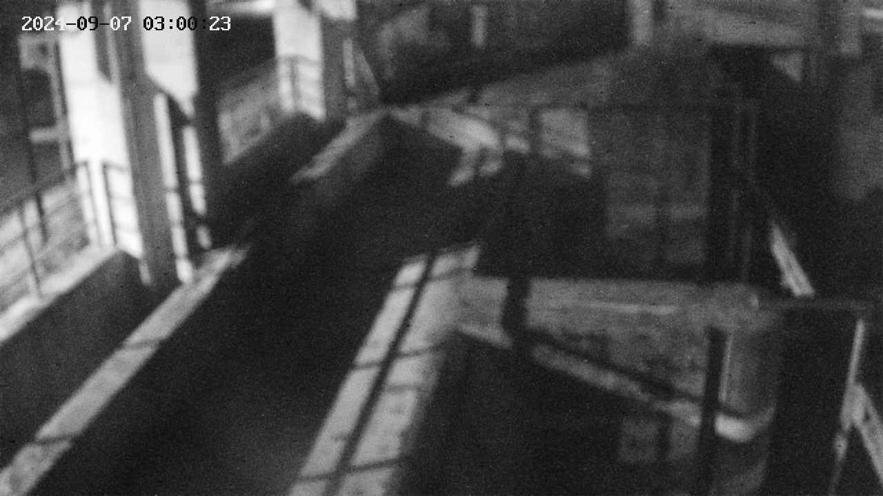 area2-20240907030024.jpg