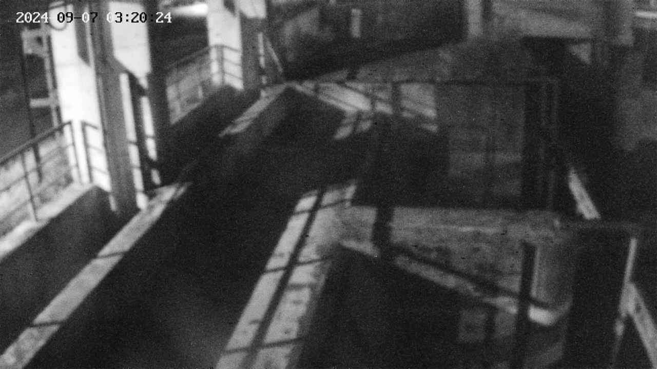 area2-20240907032025.jpg