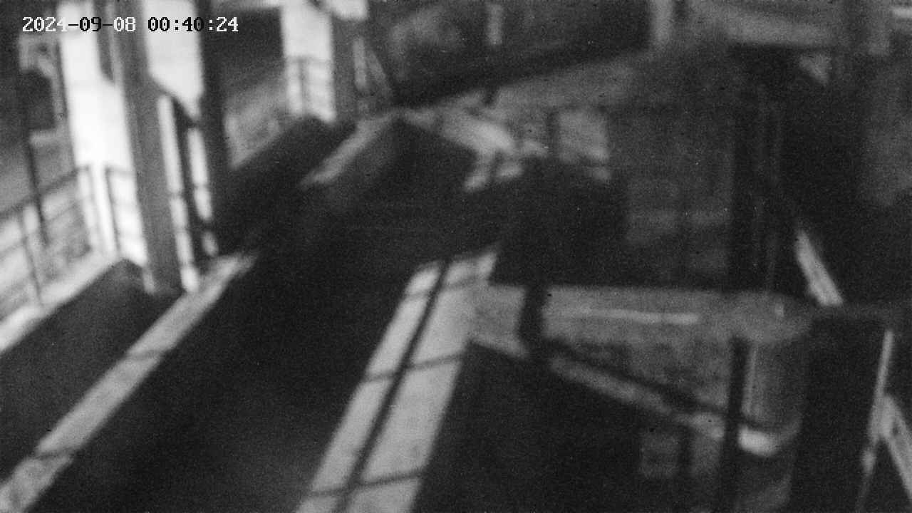 area2-20240908004025.jpg