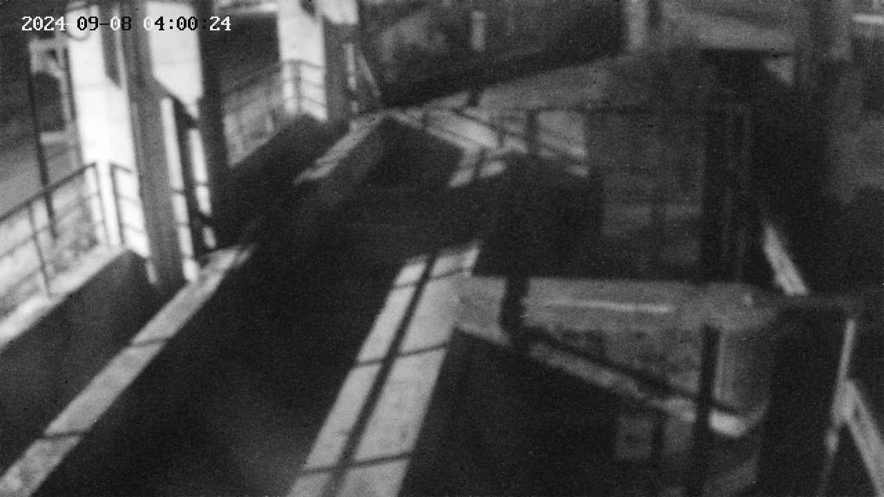 area2-20240908040026.jpg