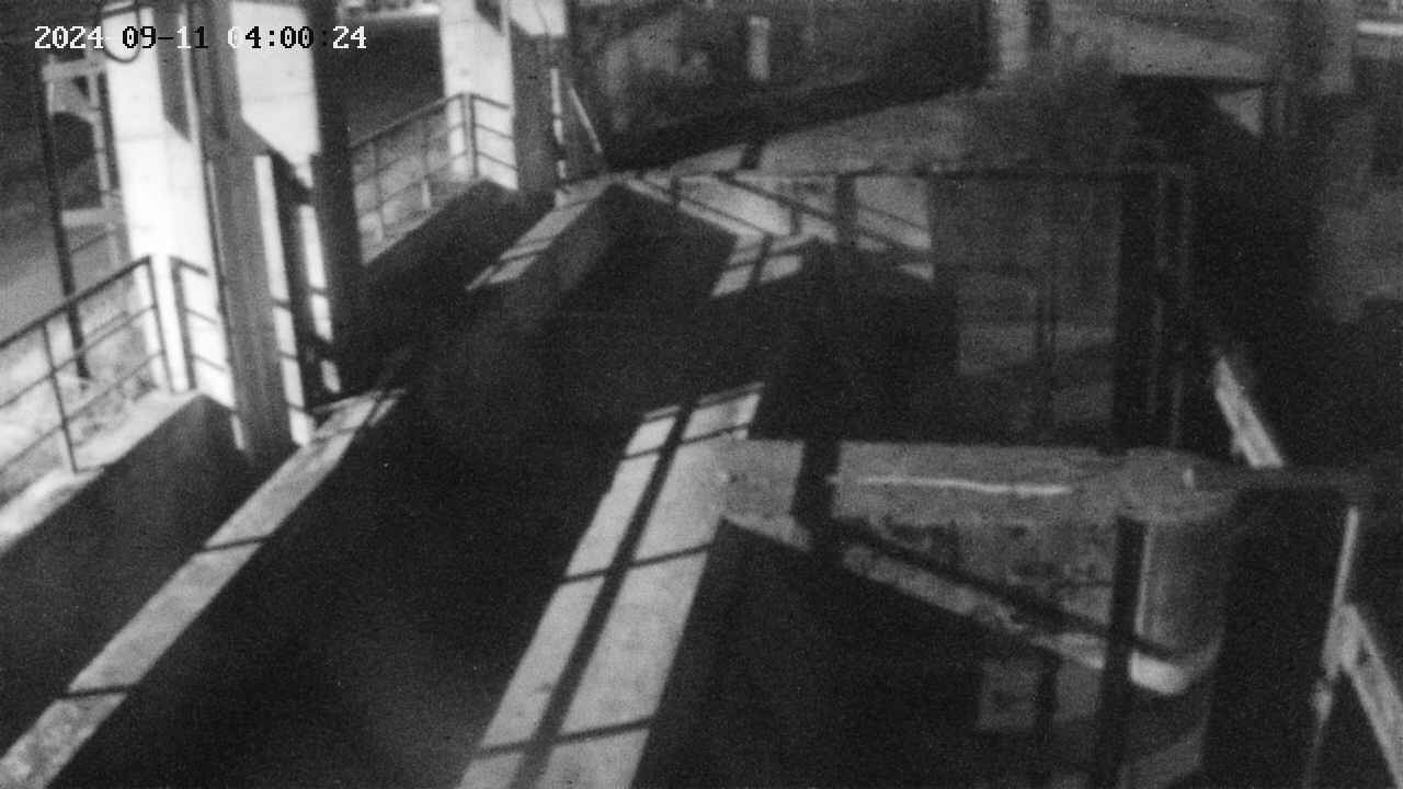 area2-20240911040025.jpg