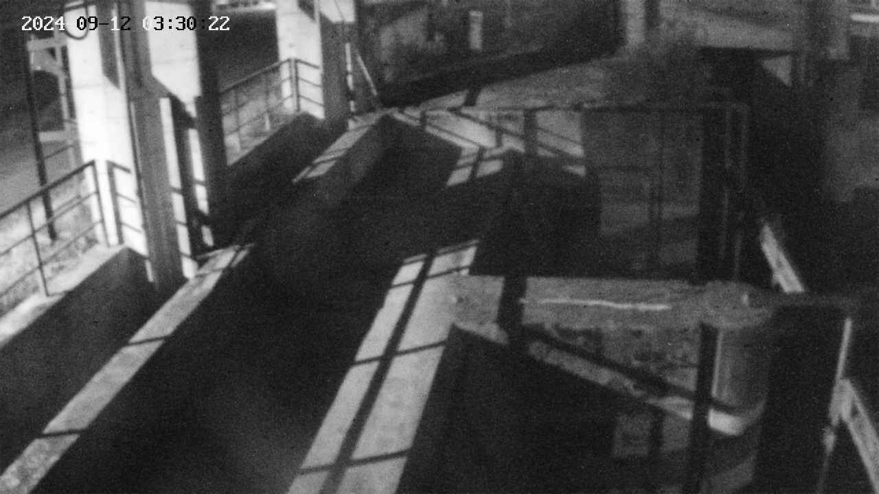 area2-20240912033024.jpg