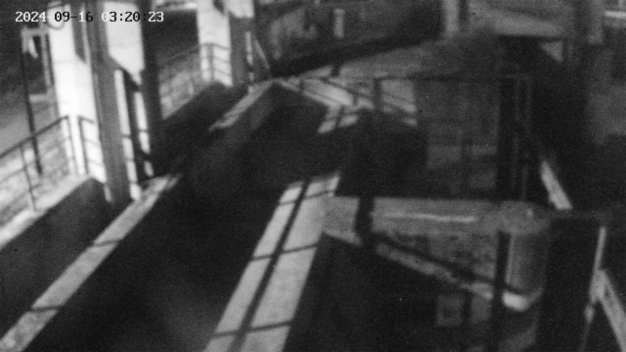 area2-20240916032025.jpg
