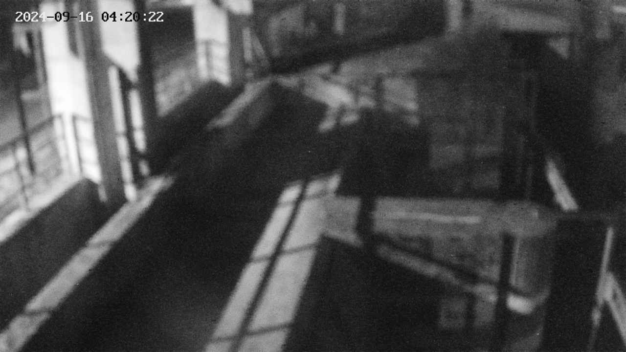 area2-20240916042024.jpg
