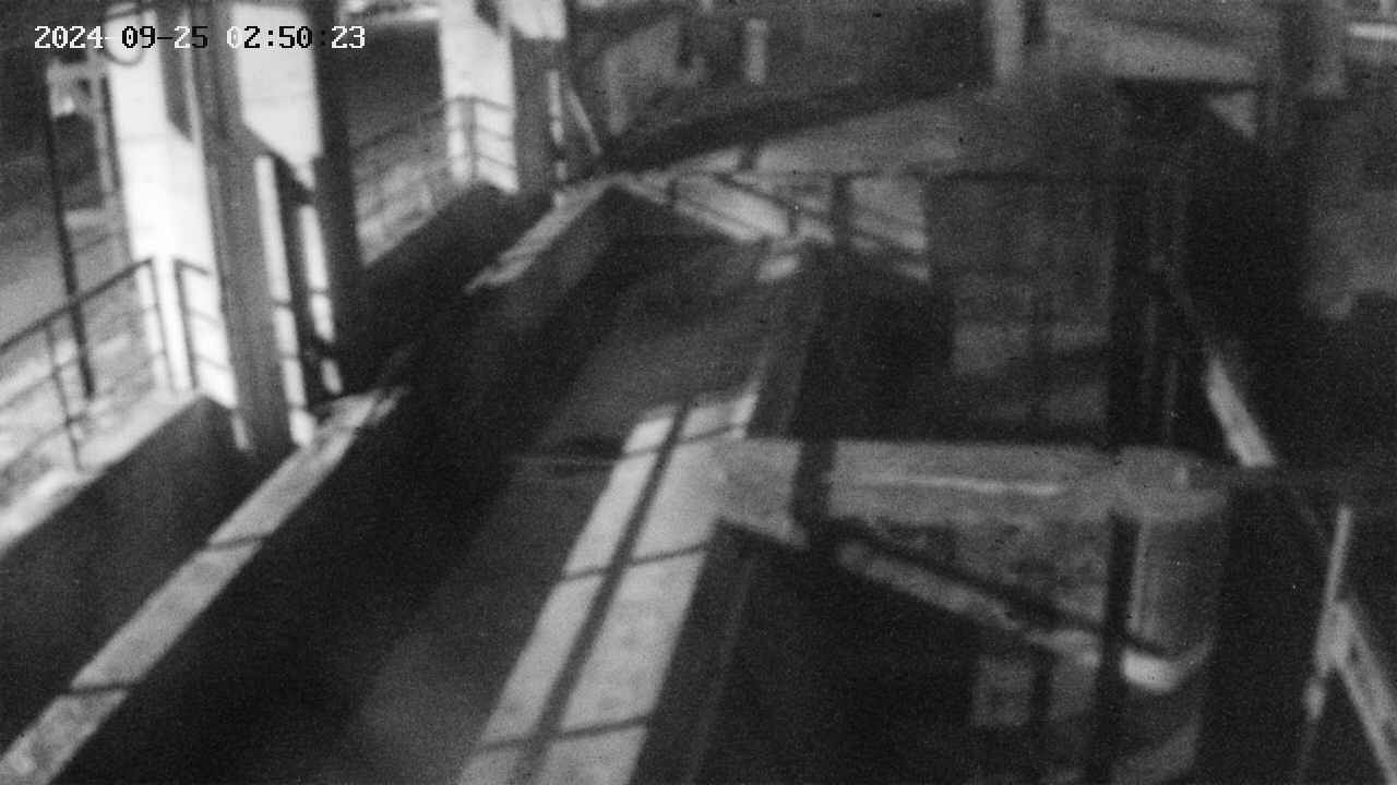 area2-20240925025024.jpg