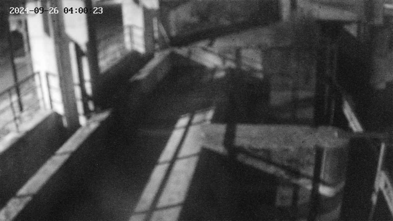 area2-20240926040024.jpg