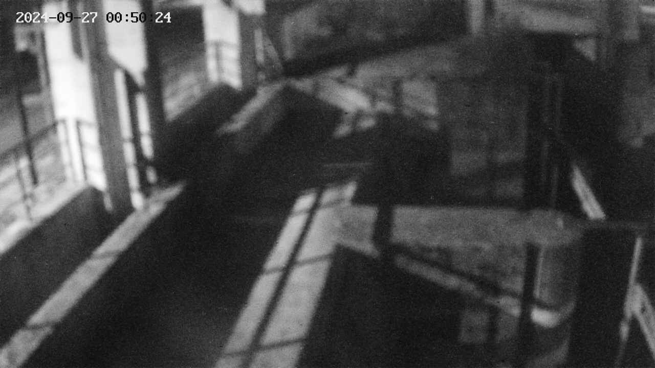 area2-20240927005025.jpg