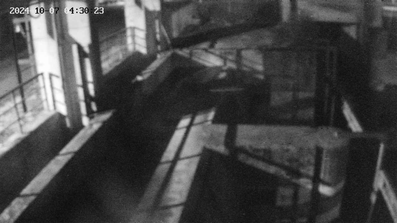 area2-20241007043024.jpg